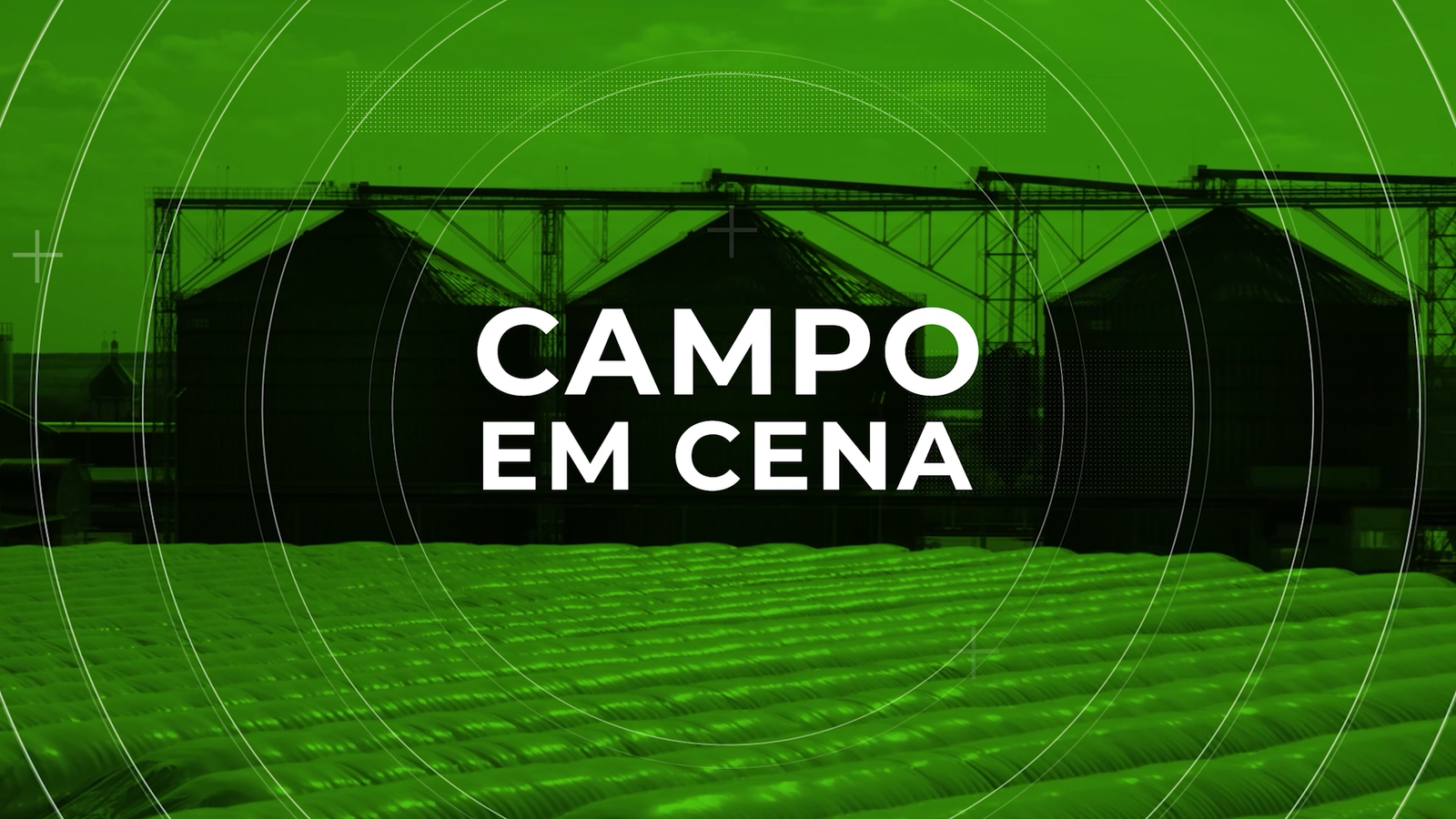Campo em Cena