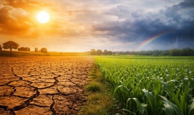 Secretaria da Agricultura e Mapa debatem ações de enfrentamento às mudanças climáticas no campo