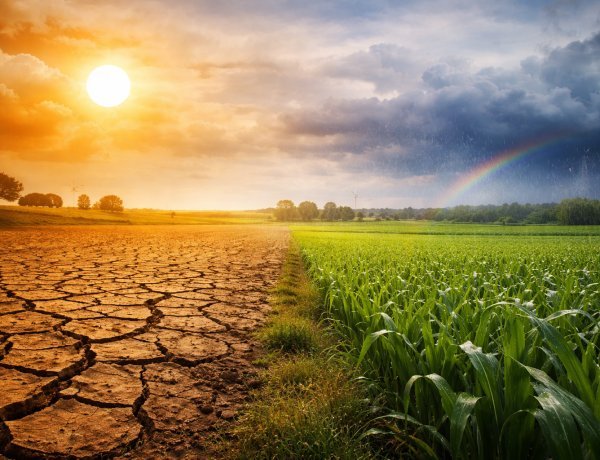 Secretaria da Agricultura e Mapa debatem ações de enfrentamento às mudanças climáticas no campo