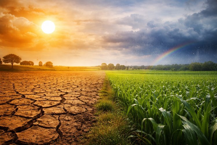 Secretaria da Agricultura e Mapa debatem ações de enfrentamento às mudanças climáticas no campo